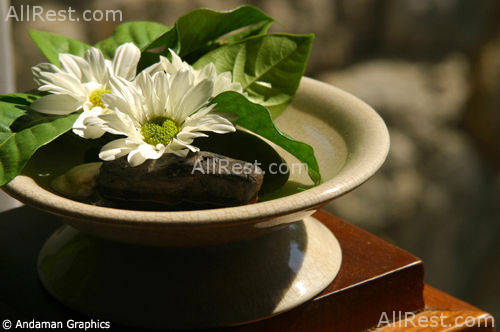 Ayara Hilltops 29